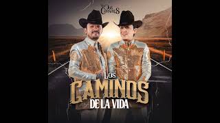 Los Dos Carnales  Los Caminos de La Vida Official Audio [upl. by Orutra]