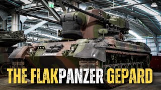 The Flakpanzer Gepard  The Shahed bane in Ukraine [upl. by Frieda]