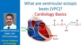 What are ventricular ectopic beats VPC Cardiology Basics [upl. by Sinnel674]