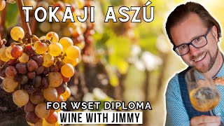 Tokaji Aszú Explained for WSET Level 4 Diploma [upl. by Ramiah991]