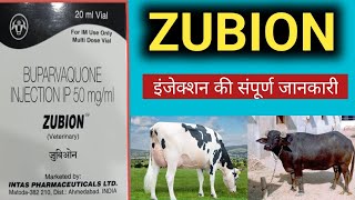 Zubion इंजेक्शन की संपूर्ण जानकारी  zubion injection uses in hindi  butalex injection Review [upl. by Bock]