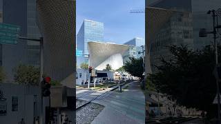 cdmx soumaya [upl. by Brady]