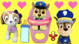 Capitulo especial Paw patrol en español Chase y Skye de patrulla canina San Valentin 2019  1 hora [upl. by Elletsyrc]