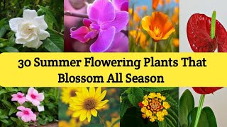 30 Summer flowering plants with name  Flowers that blooms all summer [upl. by Brigitta]