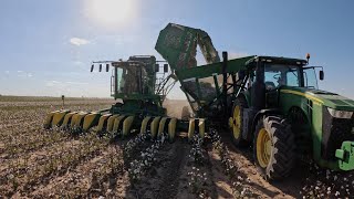 2024 West Texas Cotton Harvest day 7 [upl. by Pergrim881]