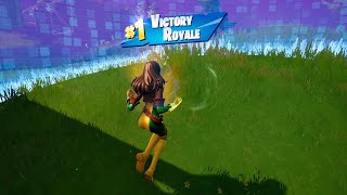 ROGUE SKINLEBEAU’S BO PICKAXE IN FORTNITE Solo Full Gameplay EpicPartner [upl. by Rives827]