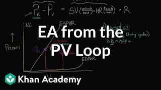 Getting Ea arterial elastance from the PV loop  NCLEXRN  Khan Academy [upl. by Aidole]