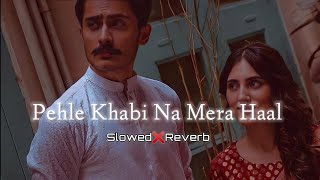 Pehle Khabi Na Mera Haal  Udit narayan  Slowed amp Reverb  slowreverb lofi 90s [upl. by Aneri626]