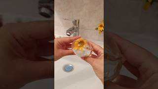 Heliopsis in a water balloon Do you have this flower growing diy satisfying foryou nanotape [upl. by Aidnyl]