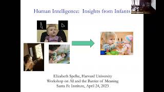 Liz Spelke Human Intelligence Insights from Infants [upl. by Archibald268]