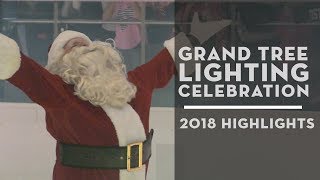 2018 Grand Tree Lighting Celebration Highlights [upl. by Salaidh783]