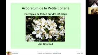 Webmodule Technique 1  Taille des Choisya par Jac Boutaud [upl. by Aimit]