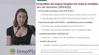 Vidéo 08  Taupins sur pomme de terre  comprendre les facteurs de risque [upl. by Blondell]