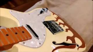 Elixir Polyweb Challenge on my Fender Special Edition 69 Telelcaster Thinline Reissue [upl. by Nirrat]