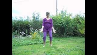 Qi Gong 5 organes de Ke Wen [upl. by Shari]