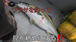 【スロージギング】釣ったワラサを昆布締めにしたら旨すぎた✨️【ワラサジギング】 [upl. by Sucrad]