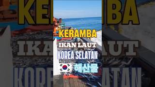 KERAMBA IKAN LAUT KOREA SELATAN ikanlaut kerambaapung peternakanikan [upl. by Donella]