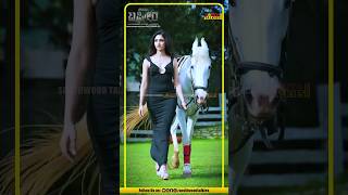 southwoodtalkies sandalwood movieclip love bbk11 kannadasandalwood love shorts [upl. by Ainattirb209]