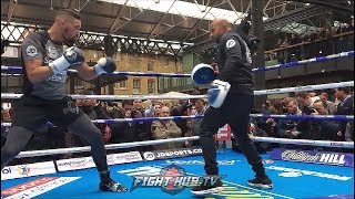 TONY BELLEW LOOKS SHARP amp STRONG FOR REMATCH WDAVID HAYE SPEED amp POWER ON THE MITTS DURING WORKOUT [upl. by Kennet]