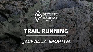 REVIEW Tenis Jackal La Sportiva [upl. by Naujet]