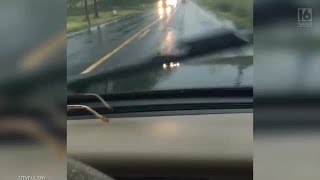 PA Driver Captures Video of Snake Hitching a Ride on Hood [upl. by Pliner]