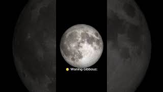 Moon Phases Explained A Simple Guide to the Lunar Cycle in 60 Seconds [upl. by Eerbua]