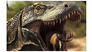 Amazing Facts About Komodo Dragons [upl. by Bounds]