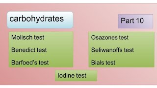 Molisch  Benedict  Barfoeds  seliwanoffs  Bials  Osazone amp Iodine test [upl. by Pulsifer493]