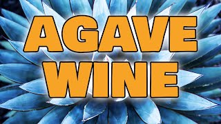 Agave Wine  Lets Make Agave Nectar Wine at Home [upl. by Barbarese]