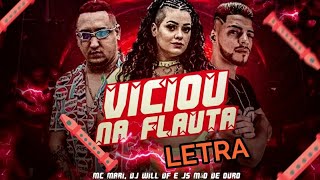 Viciou na flauta  Mc Mari Dj Will Df e Js Mão de Ouro  Letra Completa [upl. by Adnilra339]