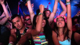 TomorrowWorld 2014  Borgore [upl. by Erbua742]