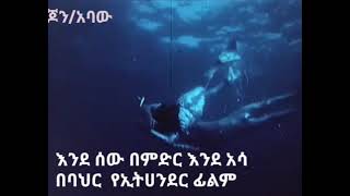 እንደ ሰው በምድር እንደአሳ በባህር ፊልም Amphibian Man [upl. by Leno]