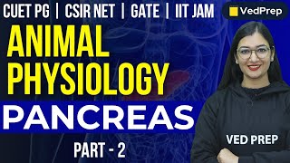 Animal Physiology  Pancreas  CUET PG  CSIR NET  GATE  IIT JAM  Part2 VedPrep Biology Academy [upl. by Griffie189]