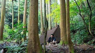 Solo Camping KALINCOタープでも大丈夫 [upl. by Glogau]