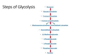 Carbohydrates Metabolism Glycolysis and Gluconeogenesis  Lecture 10b [upl. by Obadiah]