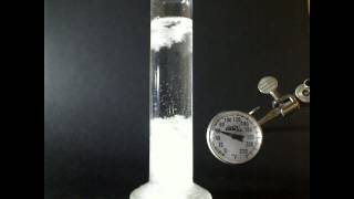 Fizroy Storm Glass and Temperature [upl. by Ahseenal]