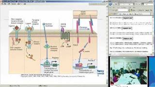 Immune Receptors and Signal Transduction Christina Ciaccio MD [upl. by Darcia]