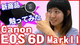 【レビュー】Canon EOS 6D Mark II 使ってみた【ともよ。】【キヤノン】 [upl. by Gies]