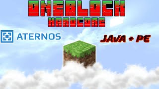 How to make OneBlock hardcore in Aternos for Minecraft  OneBlock Hardcore in Aternos 😱 java  pe [upl. by Tracy]