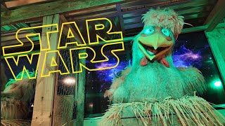 Star Wars Theme  Frizzle Chicken  Pigeon Forge TN  April 2024 [upl. by Philoo]