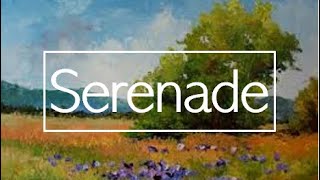 Schubert  Serenade  One Hour Extended [upl. by Karab]