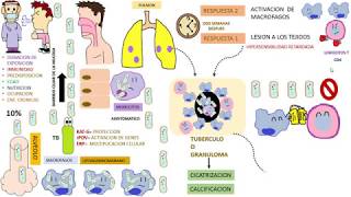 Micobacterium Tuberculosis [upl. by Centeno]