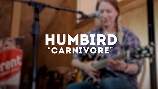 Humbird  Carnivore Live at MWMF [upl. by Rora]