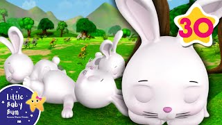 Sleeping Bunnies  Nursery Rhymes and Kids Songs  Little Baby Bum  Animals for Kids [upl. by Metah308]