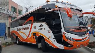 IMPONENTE GOLIAT 800 HINO RM1BUSS  Turismo Oriental [upl. by Arihat]