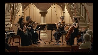 Robert Schumann String Quartet Op41 No2  GoYa Quartet [upl. by Aicetal]