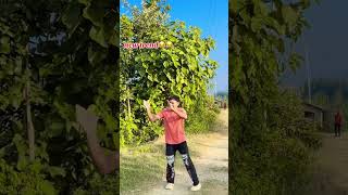 Banki chari dailyvlog dance nepalinewsaajka moviemusic keeploving moviesong nepali love [upl. by Ballman]