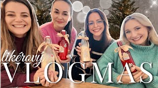 Čas s Kamoškami Pri Vaječnom Likéri 🐣🎄 amp Zdobíme Stromček  Vlogmas 2  PauliBeauty [upl. by Ruhtua]