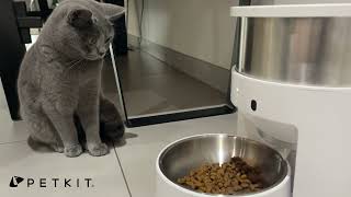 Smart Pet Feeder PETKIT Fresh Element 3 [upl. by Nobel]