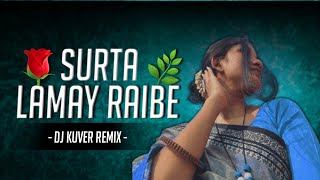 Surta Lamay Raibe Raja Re  Cg Song  Dj Remix  Fanky Style Remix  Dj Kuver Remix [upl. by Dorsman]